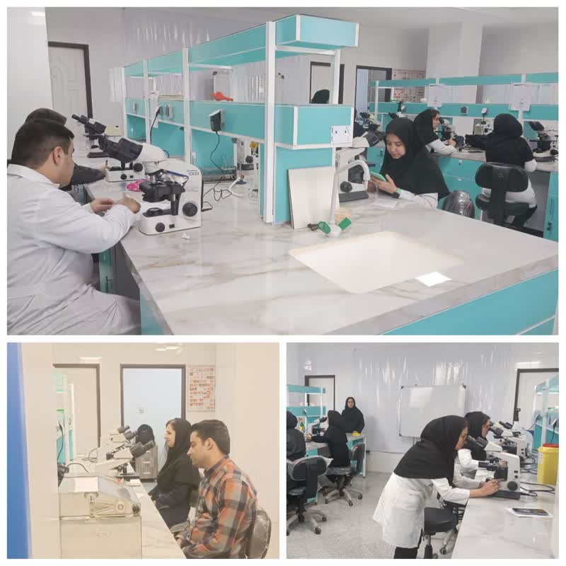 کارگاه آزمایشگاه مالاریا